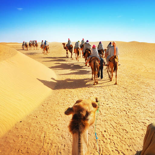 voyage groupe