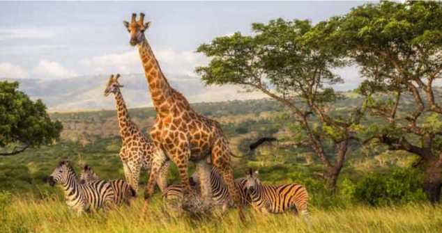 Voyages en groupe Afrique du Sud