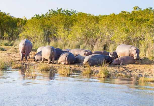 Voyages en groupe Afrique du Sud