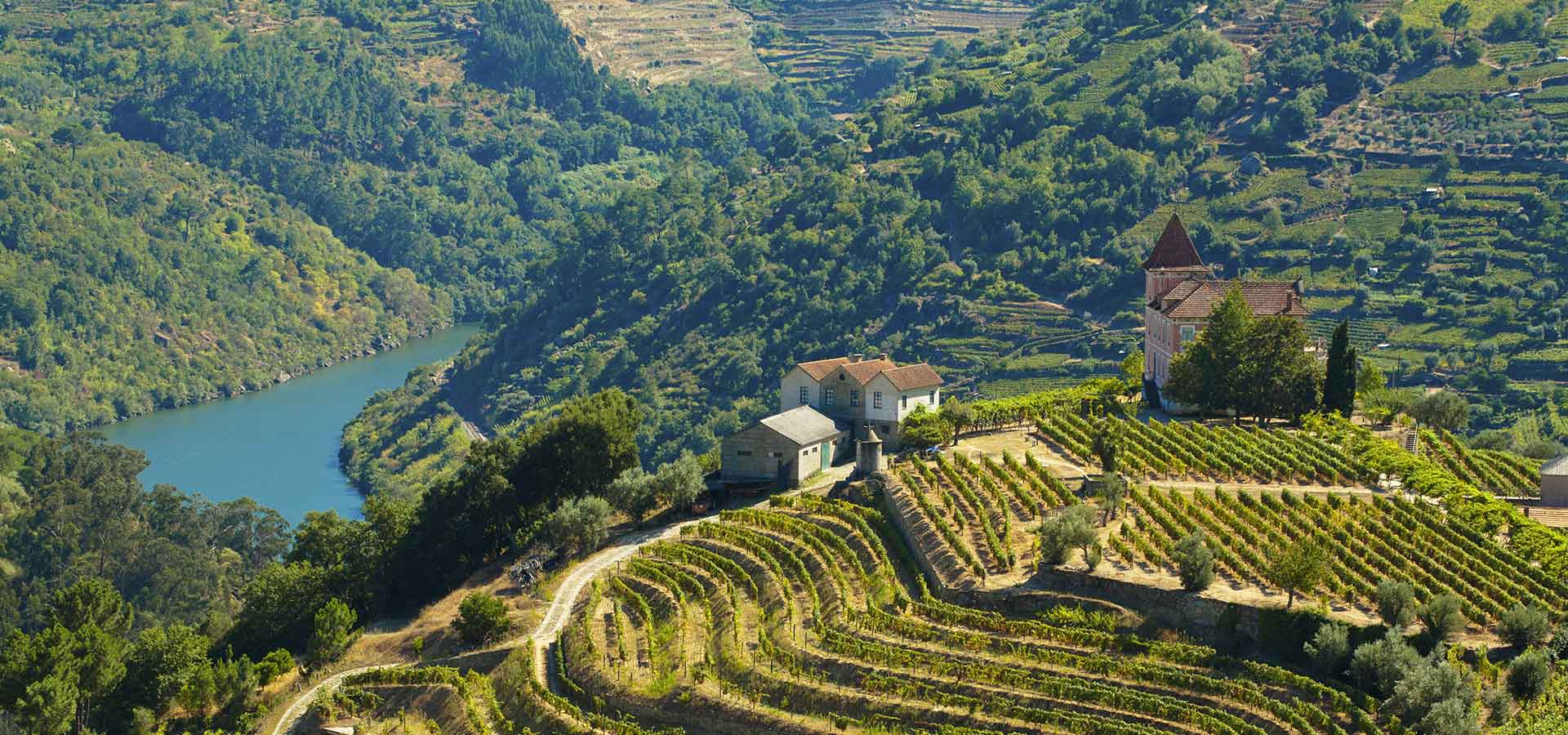Voyages-Traditours-Portugal-vallee-Douro-banniere