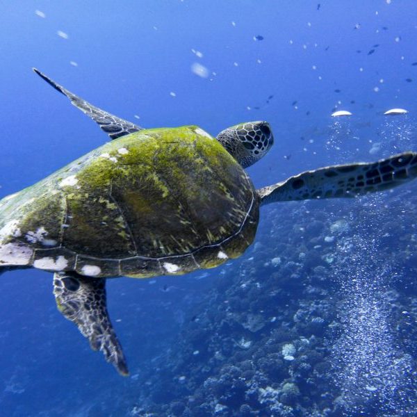 baptiste-riffard-uKhq0DttOU-unsplash-scaled-qovb5mglawu0vsg19t4pca1e5smzjry3x21v3aauls